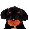 Toyland® 25cm (10") Tyson The Rottweiler Soft Toy - Sitting