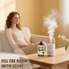 Honeysuckle Essential Oil, Honeysuckle Oil 16 Fl Oz 480ML for