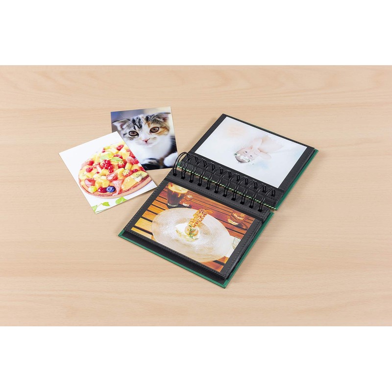 Album Nakabayashi Photo Trunk Frame Case Album L 1 Tier