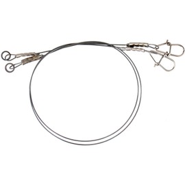 Savage Gear titanium jerk-bait, steel leader 30 cm, 0.6 mm, 25 kg, 2 titanium leaders for pike fishing, spin leader