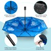 TechRise Umbrella, Compact Strong Windproof Automatic Umbrellas, Folding Lightweight, Portable