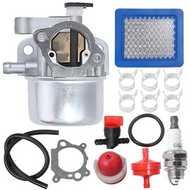 Hoypeyfiy Carburettor Replacement for BS 799866 799871 790845 796707 794304 Engine Replacement for Toro Lawn Mower Carb Toro 22" Recycler with Air Filter Spark Plug Primer Bulb