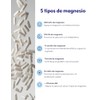 Molecular Labs - Magnesio Molecular 5+ | Suplemento de Magnesio