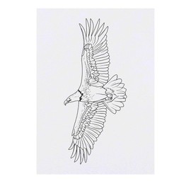 'Flying Bald Eagle' Temporary Tattoo - Water Resistant, Skin-Safe, Non-Toxic Transfer (TO00085069)