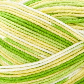 Premier Yarns Fruits, Acrylic Sock Yarn, 2-Pack Bundled with Bella's Crafts Stitch Markers (Lime)