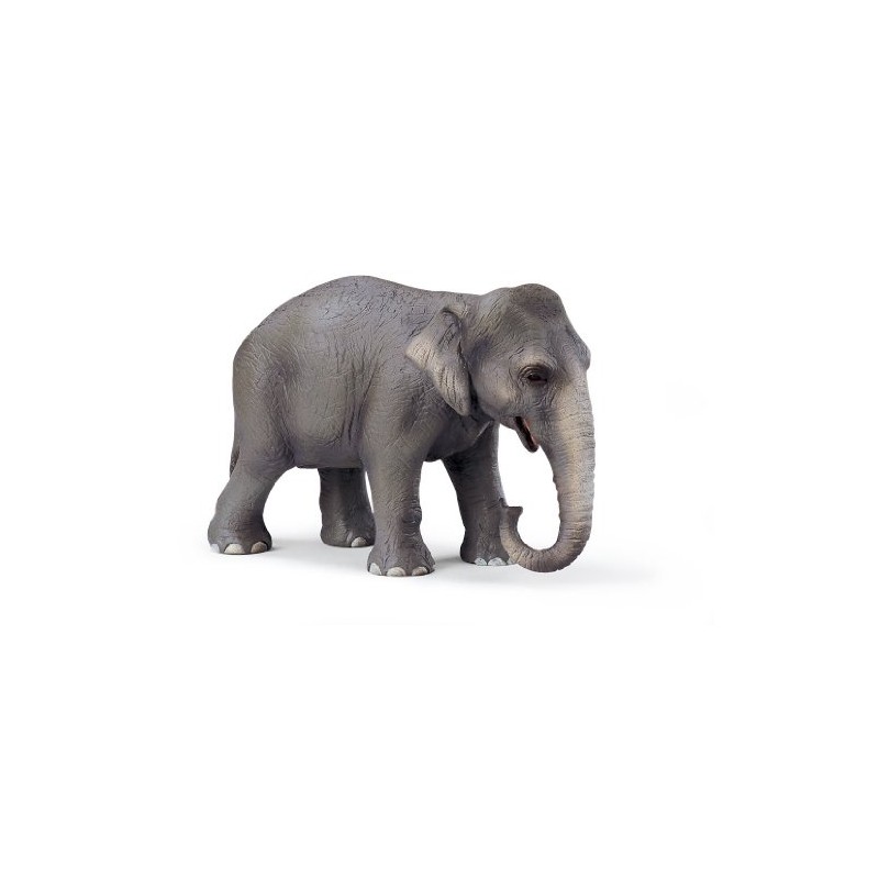 Schleich 14344 Wild Life Asian Elephant Cow