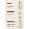 Sooryehan Ginseng Peptide Elasticity Serum Special + 5 Fermented Gifts