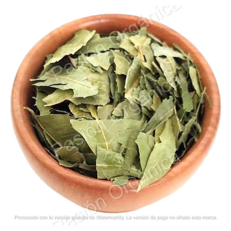 Pasión Orgánica - Té Infusión HOJA DE NEEM ORGÁNICA deshidratada