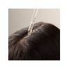 [Renewal] Ginger Scalp Care Scalp Serum 50ML (42587) / [리뉴얼]