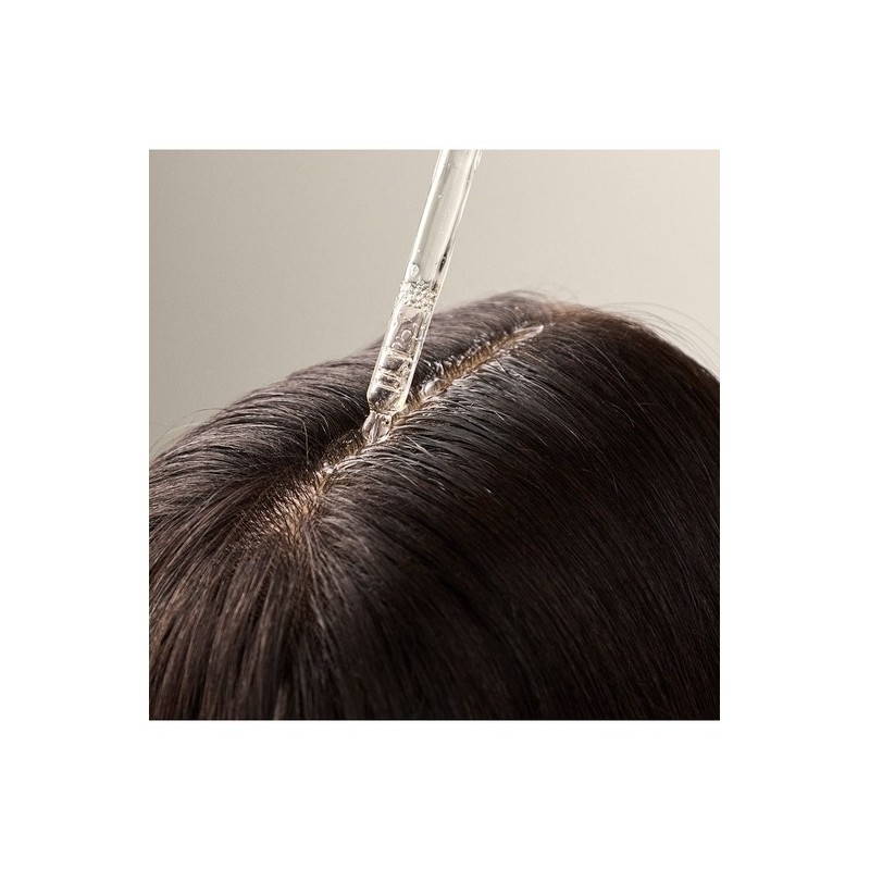 [Renewal] Ginger Scalp Care Scalp Serum 50ML (42587) / [리뉴얼]