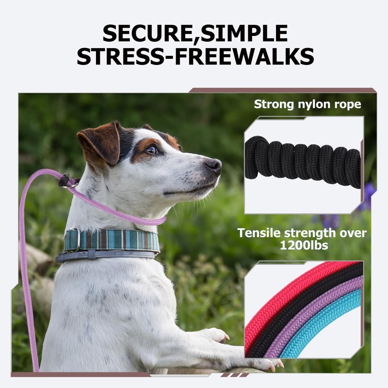 Slip Lead Dog Leash – Strong Nylon Training Rope with