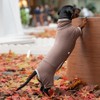 Dachshund Dog Turtleneck Sweater, Winter Warm Clothes for Dachshunds, Sausage