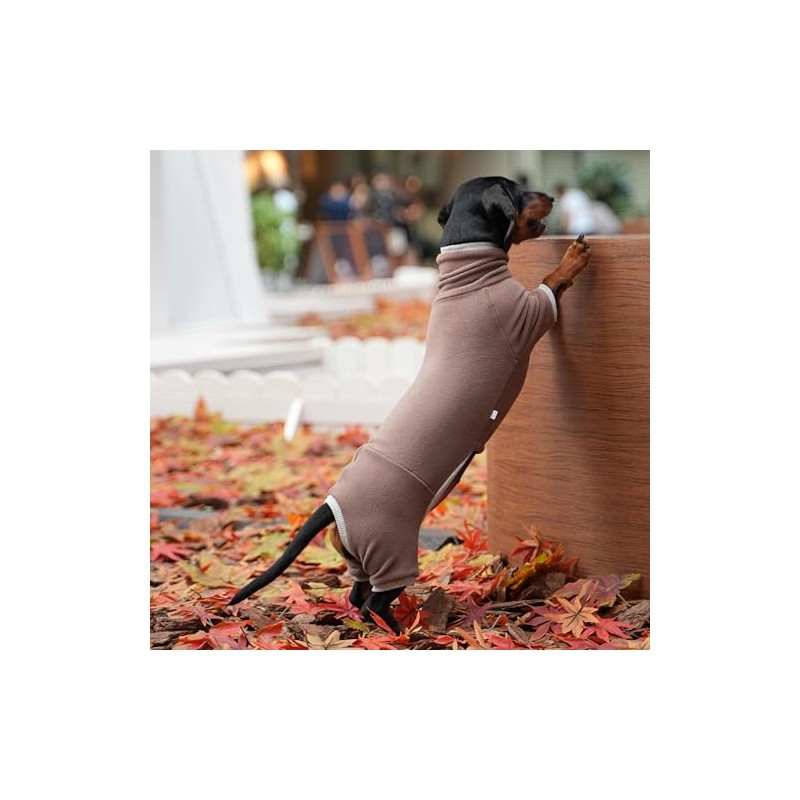Dachshund Dog Turtleneck Sweater, Winter Warm Clothes for Dachshunds, Sausage