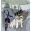 Animals & Car 170010 Leaves 2 in 1 Safety Walk