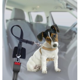 Animals & Car 170010 Leaves 2 in 1 Safety Walk and