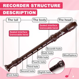 Soprano Recorder Instrument for Beginners Student - German Fingering 8 Hole Flute ABS Descant Recorders 3pcs Removable with Cleaning Rod and Storage Bag, Brown