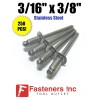 Brighton (QTY 250) POP Rivets ALL Stainless Steel 6-6 3/16"