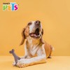Fancy Pets Hueso Masticable GDE de Bambú Triple para Perro