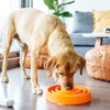 Outward Hound Divertido comedero para Perros con alimentación Lenta para