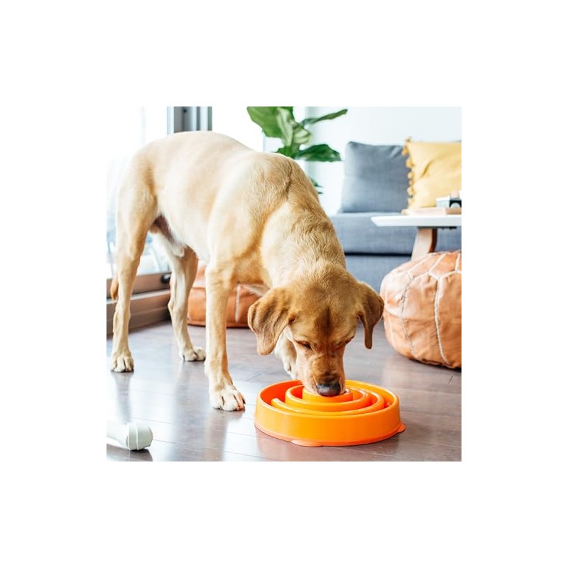 Outward Hound Divertido comedero para Perros con alimentación Lenta para
