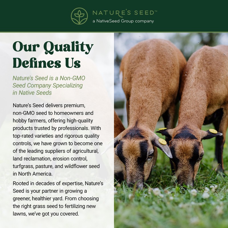 Nature's Seed Big Game Forage Mix, Pasture Grass Seed Blend,