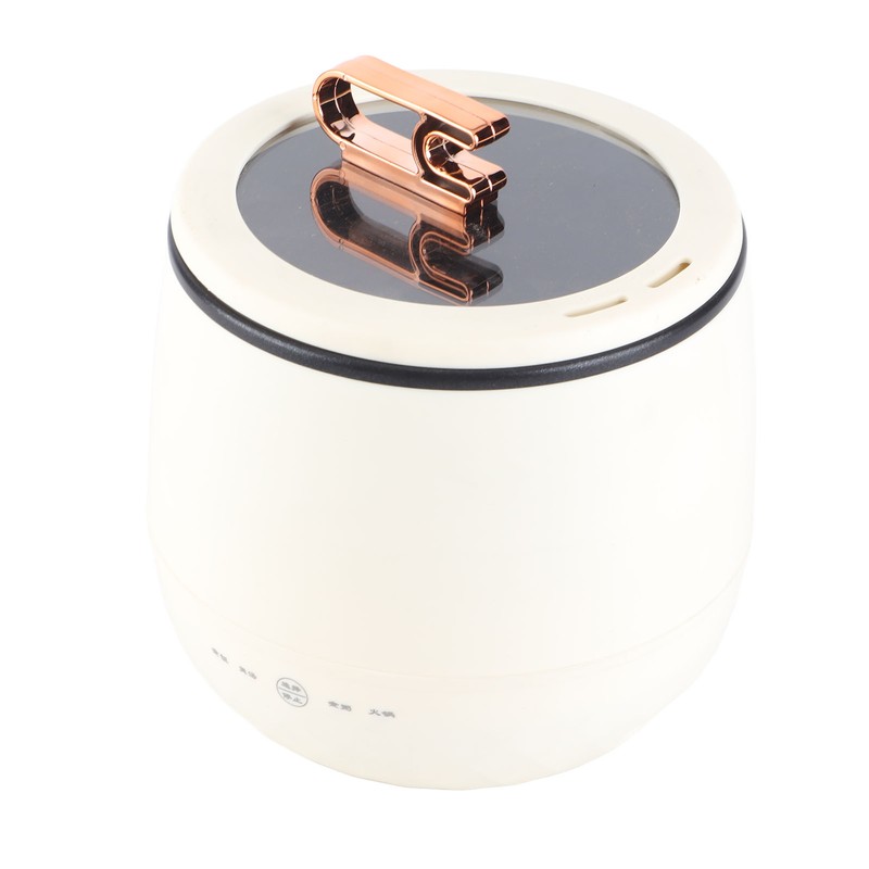 Mini Cooker Electric Pot with Lid Anti Stick Multifunctional Smart