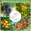 Tetutor 10x10 FT Fruit Trees Netting with Zipper,3Pcs Large Tree