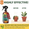 GARDENERA Professional Organic Liquid Kelp Spray for POTHOS Plants -
