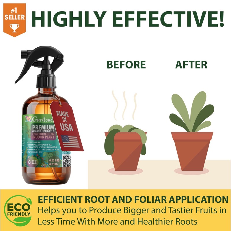 GARDENERA Professional Organic Liquid Kelp Spray for POTHOS Plants -