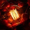 CTKcom Vintage Edison Bulb(4 Pack)- Antique Incandescent Bulbs Dimmable 40W