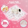 Pink Puppy Pads, Absorbent 23"x 23" 50 Count Cute Dog