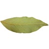EliteKoopers 100g Indian Spice Dry Bay Leaf Leaves Dried Indian