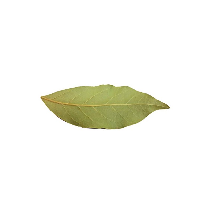 EliteKoopers 100g Indian Spice Dry Bay Leaf Leaves Dried Indian