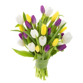 KaBloom Flowers - Combo Pack Of Fresh Tulips, Purple, Yellow and White, 30 Count without vase.Gift for Birthday, Sympathy, Anniversary, Mother’s Day Fresh Flowers