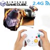 Unbranded 2.4G Wireless NGC Controller+Rec