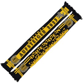 Generisch Dresden Schal Aufsteiger 2025 (Strickschal)