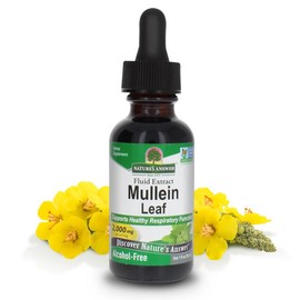 Nature's Answer Alcohol Free Mullein Leaf 1 Ounce Extract Supports Respiratory Function & Lung health | Made in the USA | Non GMO | Gluten Free | Cruelty Free Healthcare Healthcare Supplement  Natural Dietary