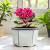 Dphagesy African Violet Pots 6 inch Hexagon Self-Watering Ceramic Violet