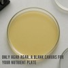 Yuantide Bio Lab-Grade 100% Agar Agar Powder(2024 Packaging),150g / 5oz,