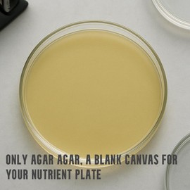 Yuantide Bio Lab-Grade 100% Agar Agar Powder(2024 Packaging),150g / 5oz, Nutrient-Free, Petri Dish Solidifying Agent, Gel Strength 700g/cm2, for Mycology and Lab Research