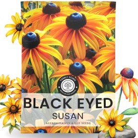 Black Eyed Susan - Large 2,500mg Envelope - 6,000 Flower Seeds for Planting - Rudbeckia hirta