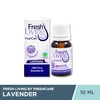 Fresh Living by Fresh Care Essential Oil Lavender, 10 ml