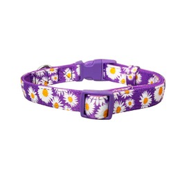 Olahibi Basic Dog Collar, Polyester Webbing Padded with Soft Neoprene, Daisy Pattern, for Large Dogs.(L, Purple Daisy)