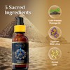 Pure Organic Moringa Oil with Blue Lotus Flower | Deep