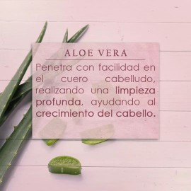 Prorganics  Shampoo Orgánico Prorganics Anticaída Sin Sulfatos 400ml