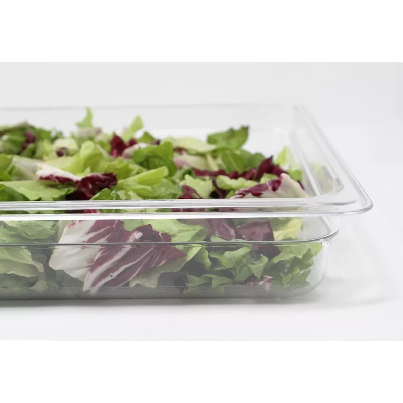 Dilitools Inserto De Policarbonato Entero 2.5 , 9.0 Qt Dilitools