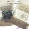 水晶・クリスタル さざれチップ (Mサイズ）100g / 浄化・クレンズ・エネルギーチャージ LUCAS ルカス/天然石 パワーストーン