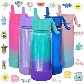 CHILLOUT LIFE 17 oz Insulated Water Bottle with Straw Lid for Kids and Adult + 20 Funny Waterproof Stickers - Perfect for Personalizing Your Kids Metal Water Bottle