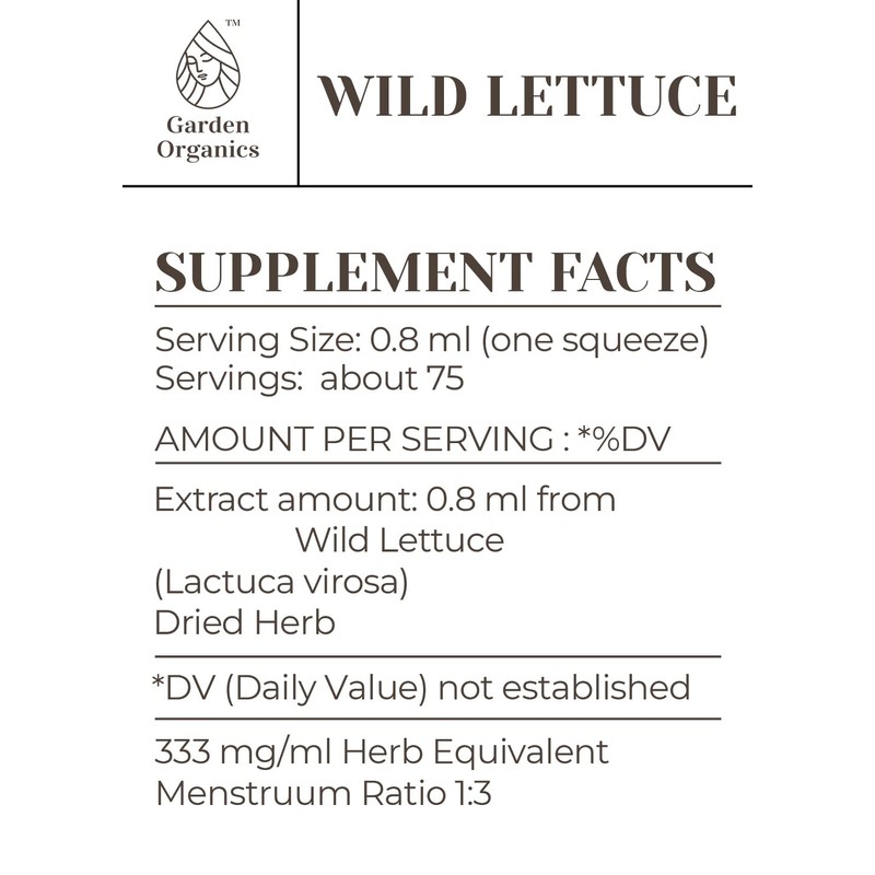 Wild Lettuce Alcohol-Free Natural Tincture Extract, Immune System Booster, Liquid