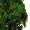 Byher 92926 Preserved Forest Moss, Fresh Green (2OZ)